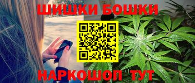 индика Дубна