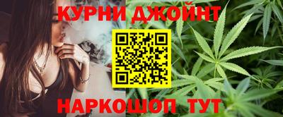 индика Дубна