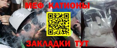 индика Дубна