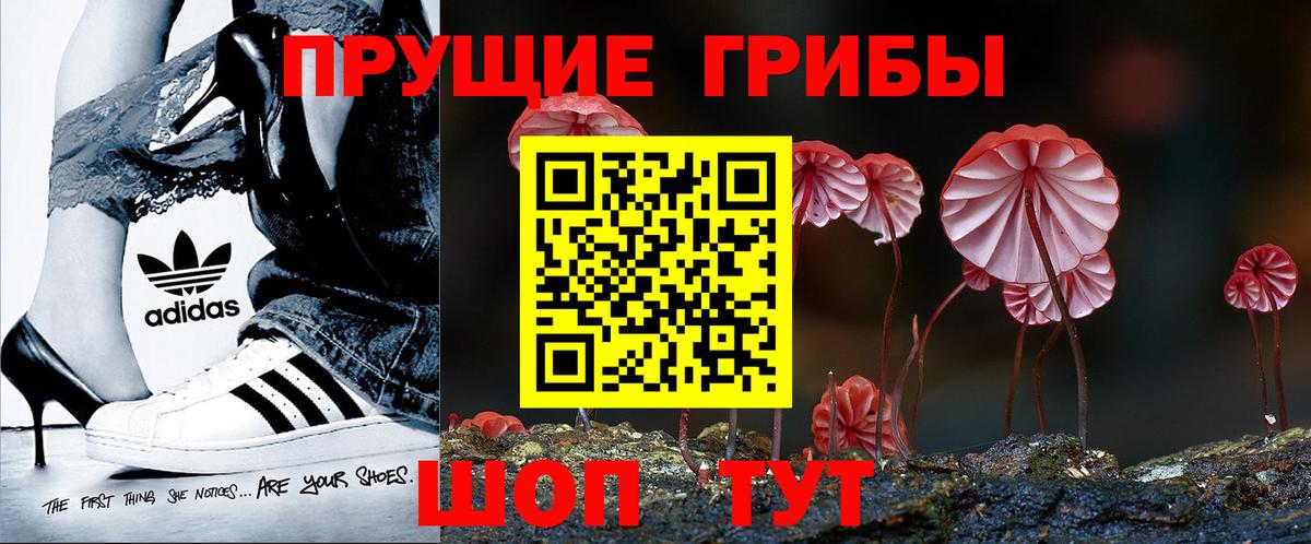 Псилоцибиновые грибы мицелий Назрань