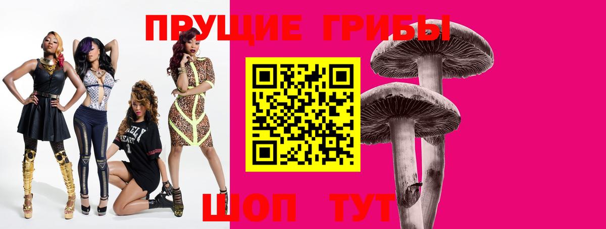 Псилоцибиновые грибы GOLDEN TEACHER  Вход с VPN  Назрань 